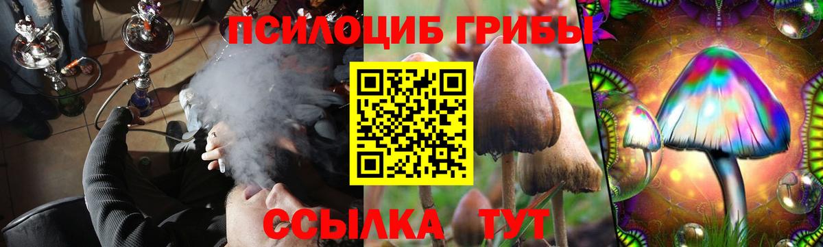 Галлюциногенные грибы Psilocybe Сунжа
