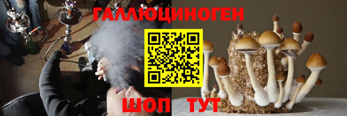 Псилоцибиновые грибы прущие грибы  Вход с VPN  купить закладку  Галлюциногенные грибы мухоморы  Сунжа 