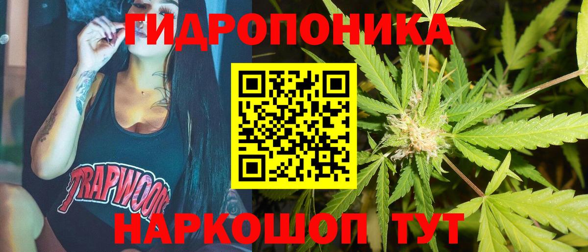 Конопля SATIVA & INDICA Сунжа